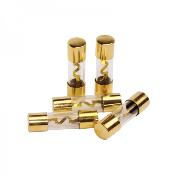 Sicherung 60 A 5er-Set BLANKO